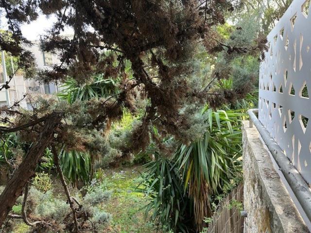 Cosy Private By House With Sea View Appartement Cannes